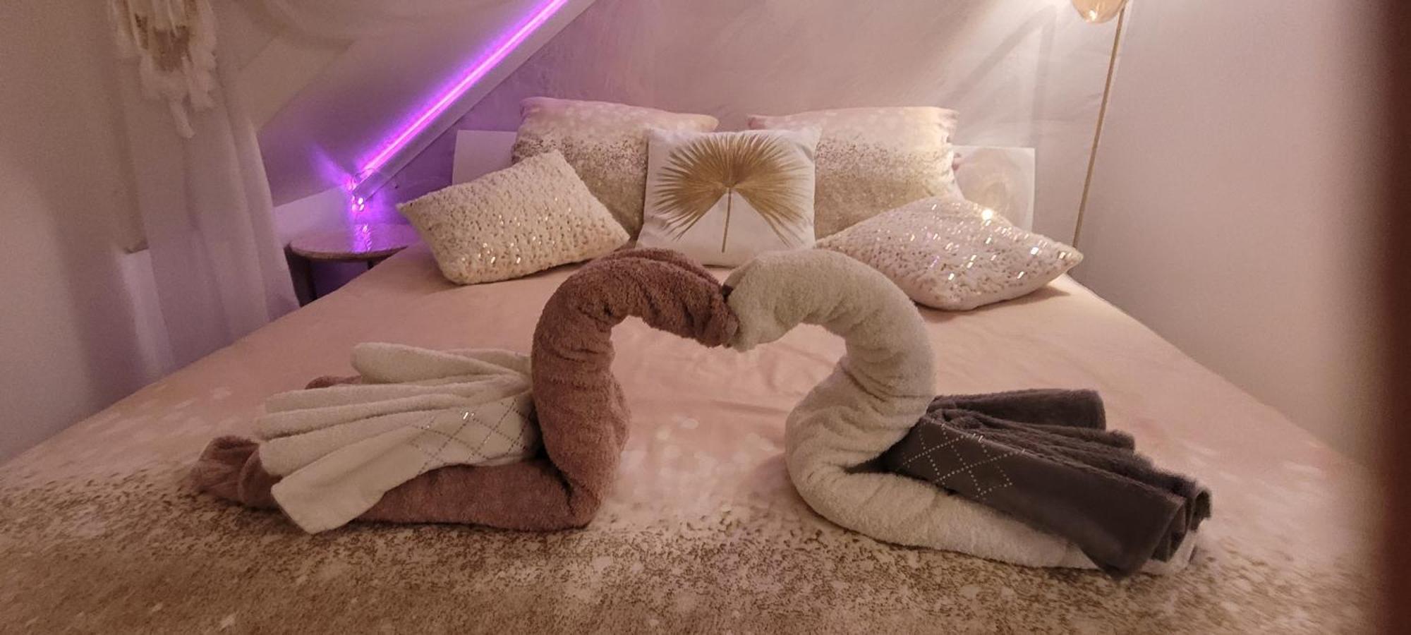 Au Fil De L' Eau Apartment Aurec-Sur-Loire Ngoại thất bức ảnh