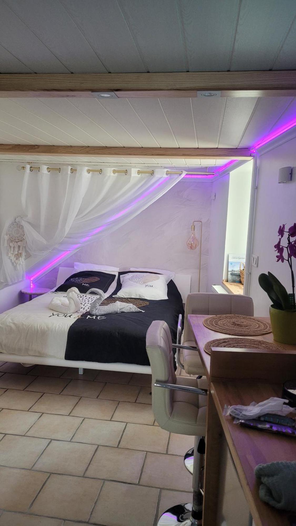 Au Fil De L' Eau Apartment Aurec-Sur-Loire Ngoại thất bức ảnh